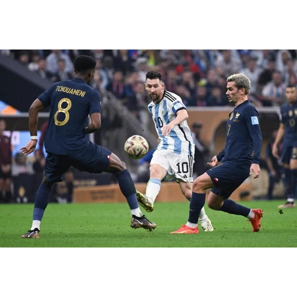 m-home-ngsports.com.cn APP